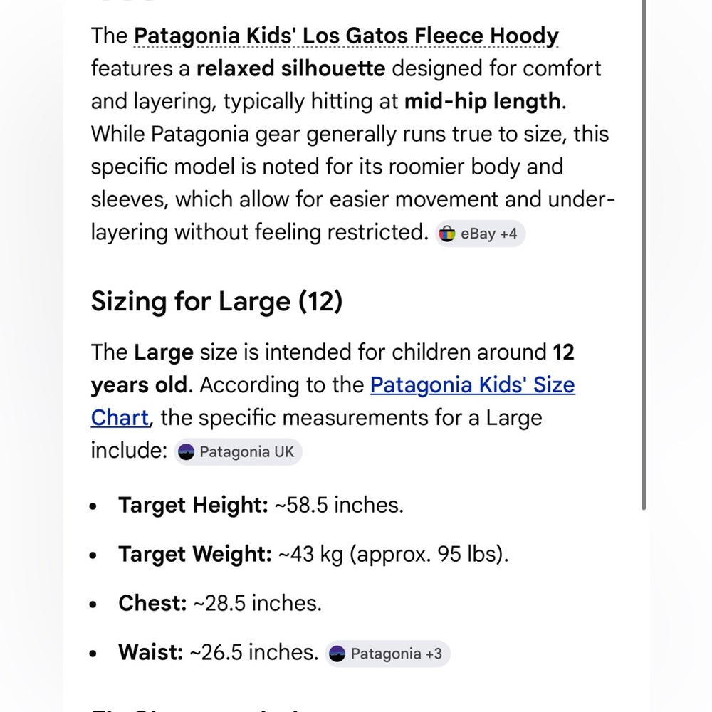 Patagonia Kids Unisex Los Gatos Hoody - Picture 12 of 12